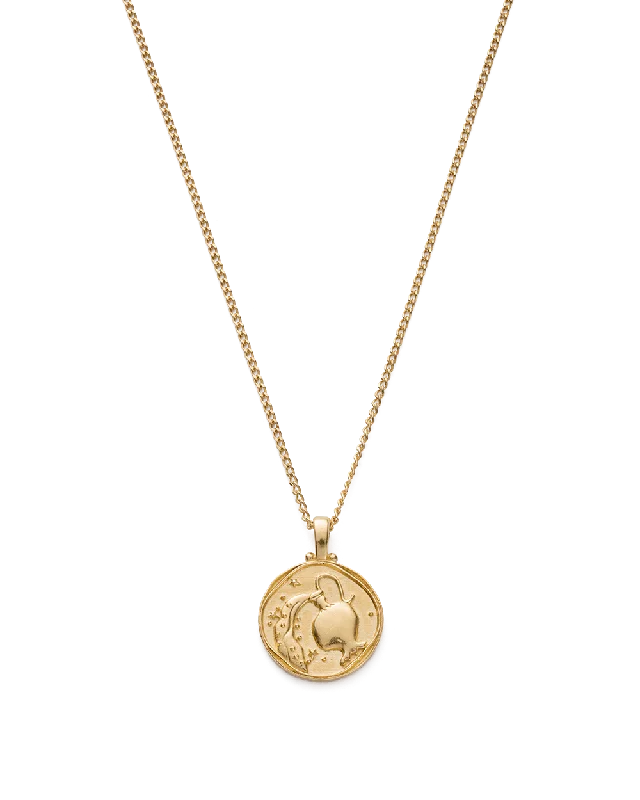 Rye stalk necklace-AQUARIUS ZODIAC NECKLACE (18K GOLD VERMEIL)